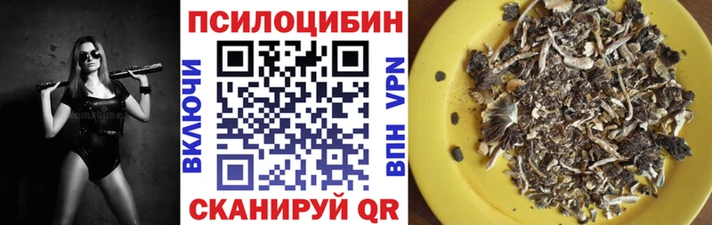 Галлюциногенные грибы Cubensis  OMG ТОР  Радужный 